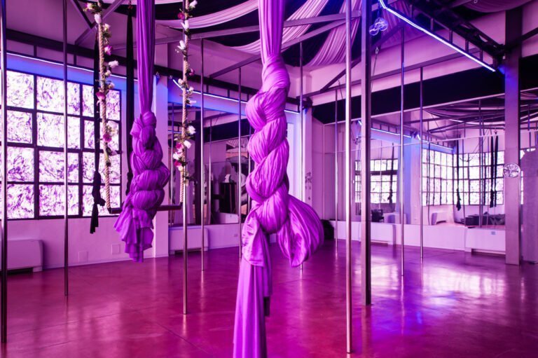 Pole Dance Milano, scuola di pole dance, tessuti aerei, aerial hoop, aerial loop e discipline acrobatiche aeree artistiche e sportive.